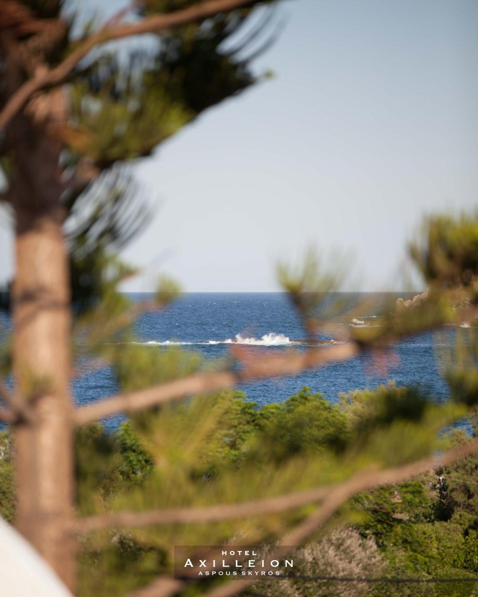 Achilleion Hotel Szkírosz Kültér fotó