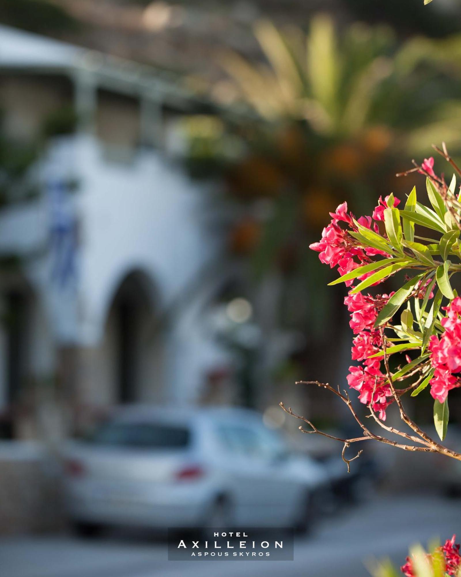 Achilleion Hotel Szkírosz Kültér fotó